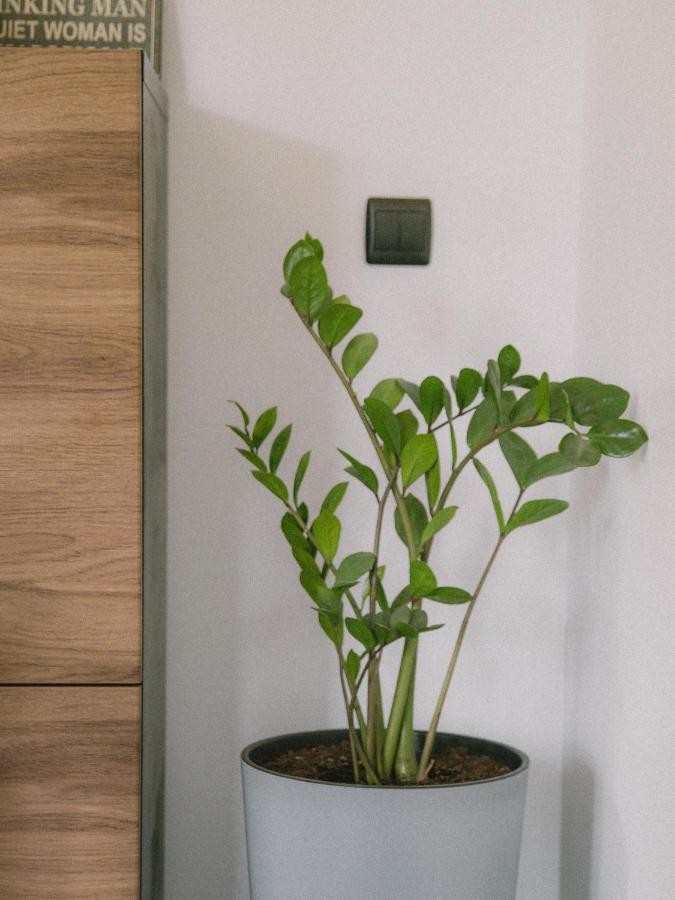 Piwniczka Jahlowej Apartment Piwniczna-Zdroj